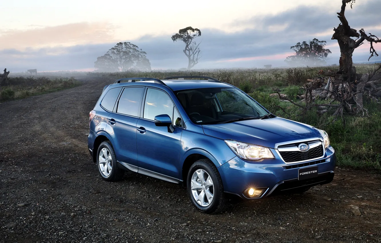 Photo wallpaper road, blue, lights, Subaru, Subaru, Forester, Forester, 2014