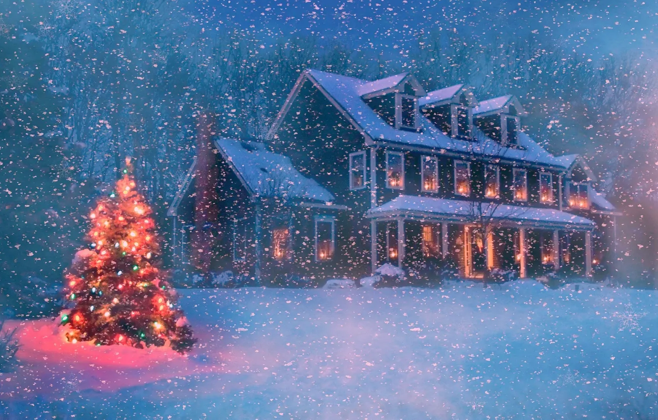 Photo wallpaper winter, forest, snow, trees, snowflakes, night, lights, house
