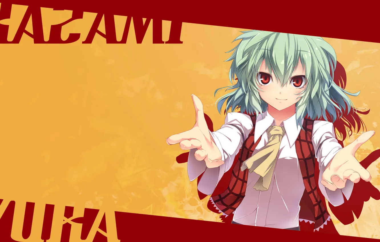 Photo wallpaper look, girl, smile, touhou, art, Kazami Yuuka, kurosaki charity