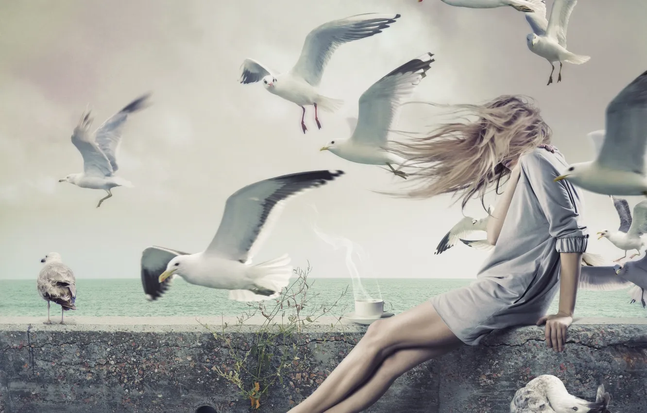 Photo wallpaper girl, the wind, seagulls, blonde, Cup, haze, the parapet