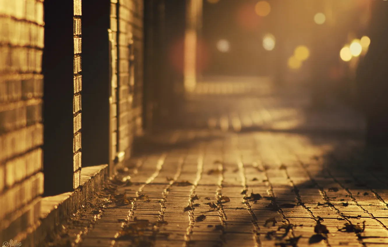 Photo wallpaper night, the city, street