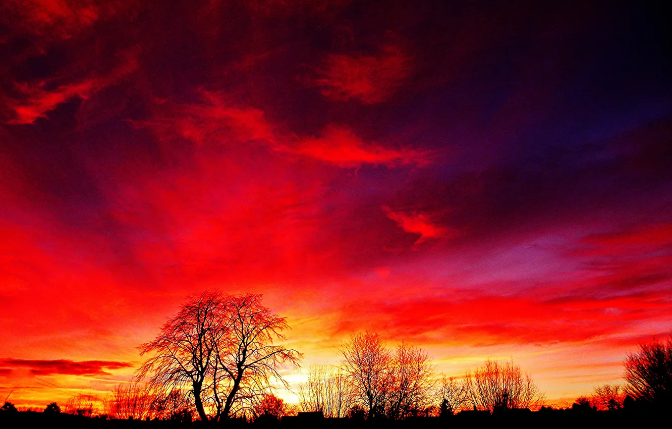 Photo wallpaper the sky, clouds, trees, sunset, silhouette, glow