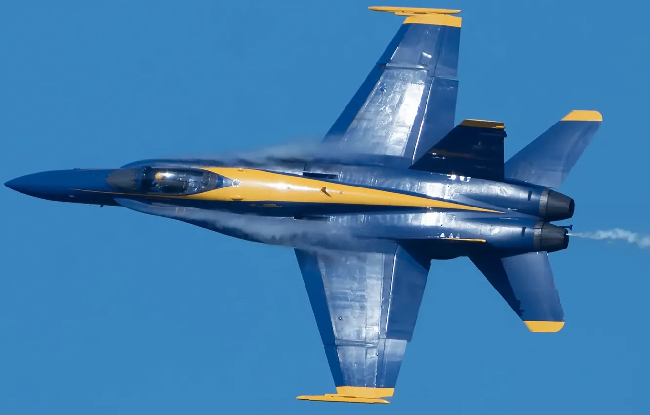 Photo wallpaper show, the plane, Blue Angels