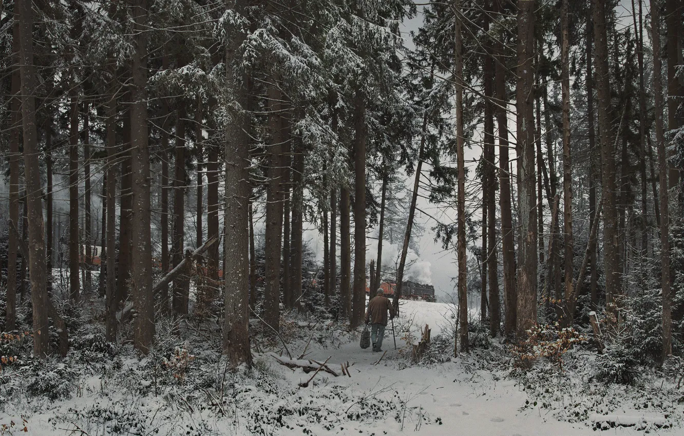 Photo wallpaper forest, snow, train, daylight, Dapflok 99 7247 - 2