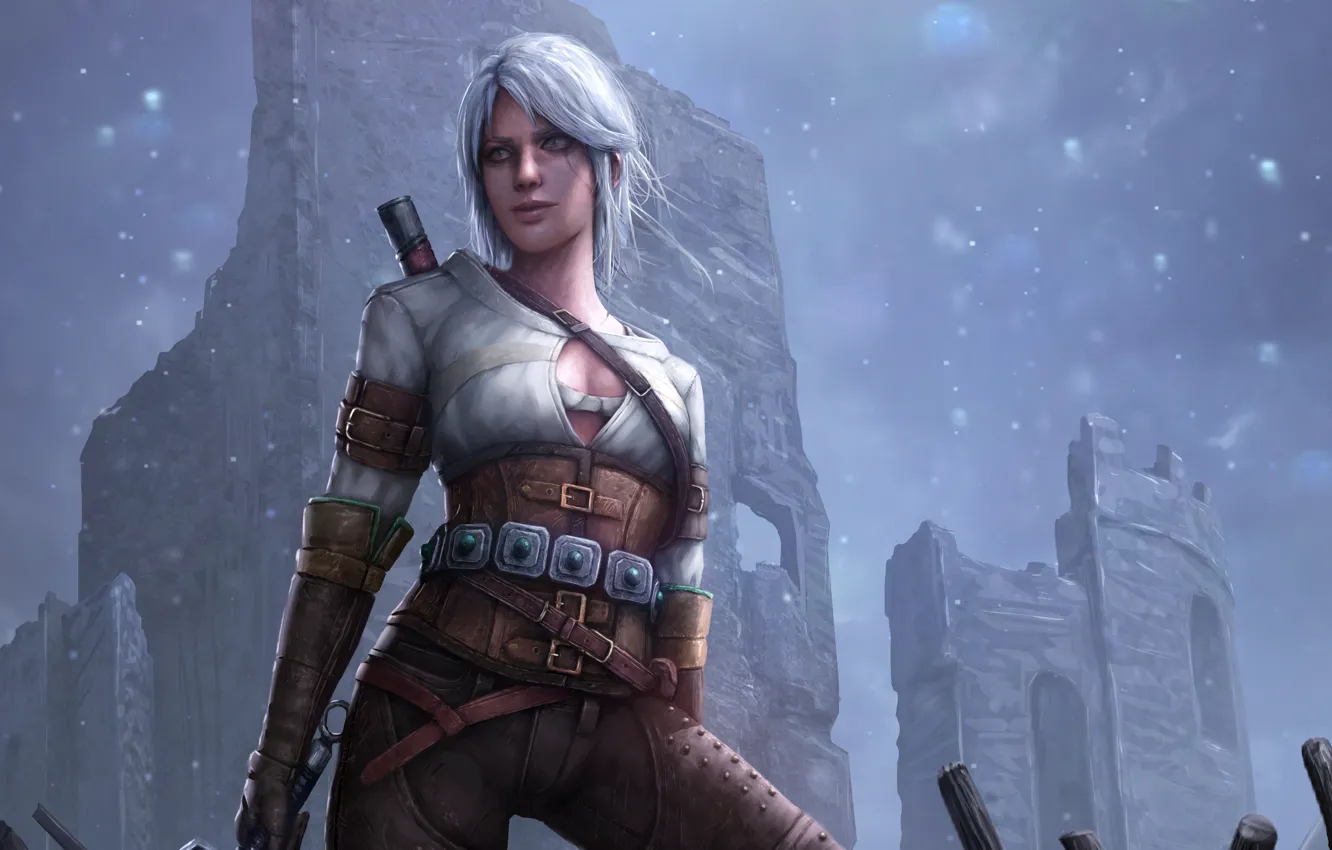 Photo wallpaper girl, art, The Witcher 3: Wild Hunt, The Witcher 3: Wild Hunt, Cirilla Fiona Elen …