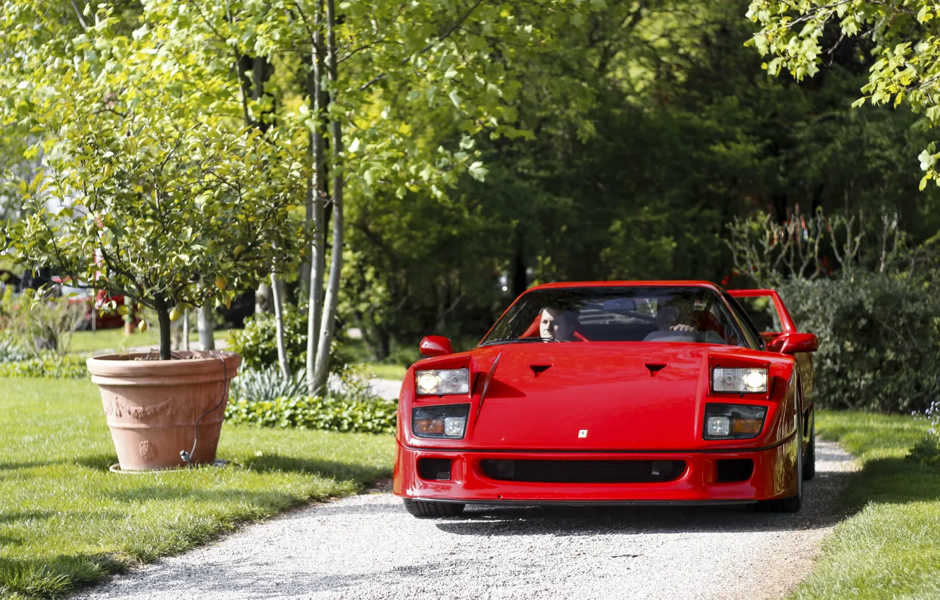 Photo wallpaper Red, F40, Road, Trees