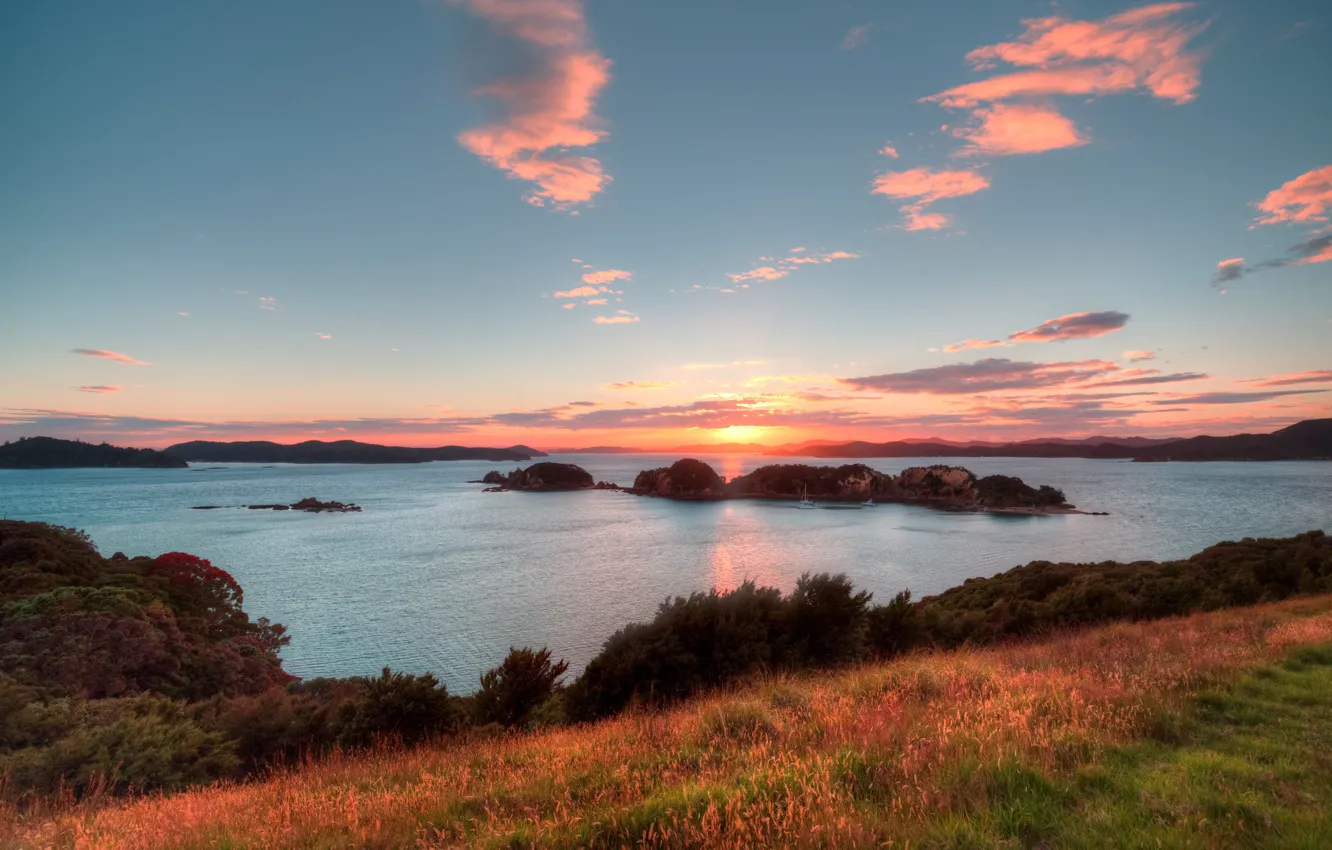 Photo wallpaper sea, grass, sunset, dawn, shore, vegetation