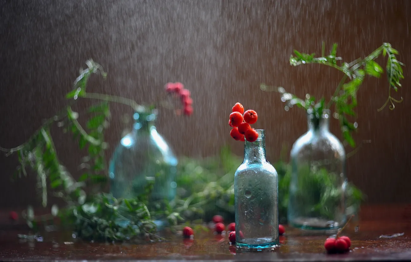 Photo wallpaper greens, glass, drops, berries, table, rain, bottle, still life