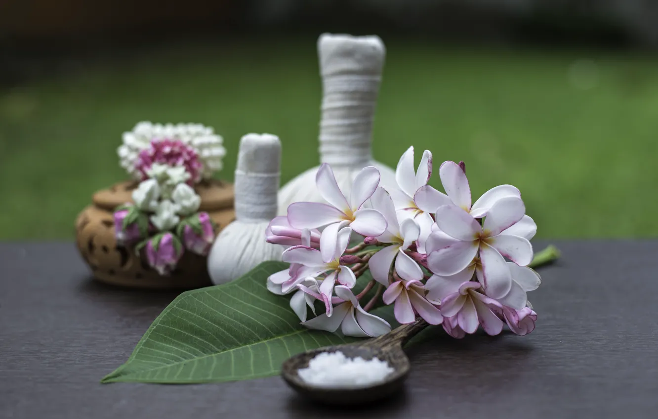 Photo wallpaper flowers, Spa, pouch, plumeria
