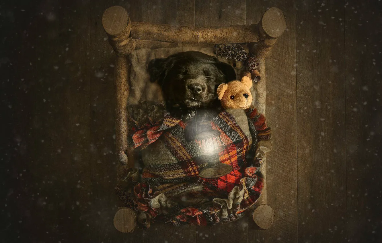 Photo wallpaper mood, toy, sleep, baby, flashlight, bear, doggie, Teddy bear