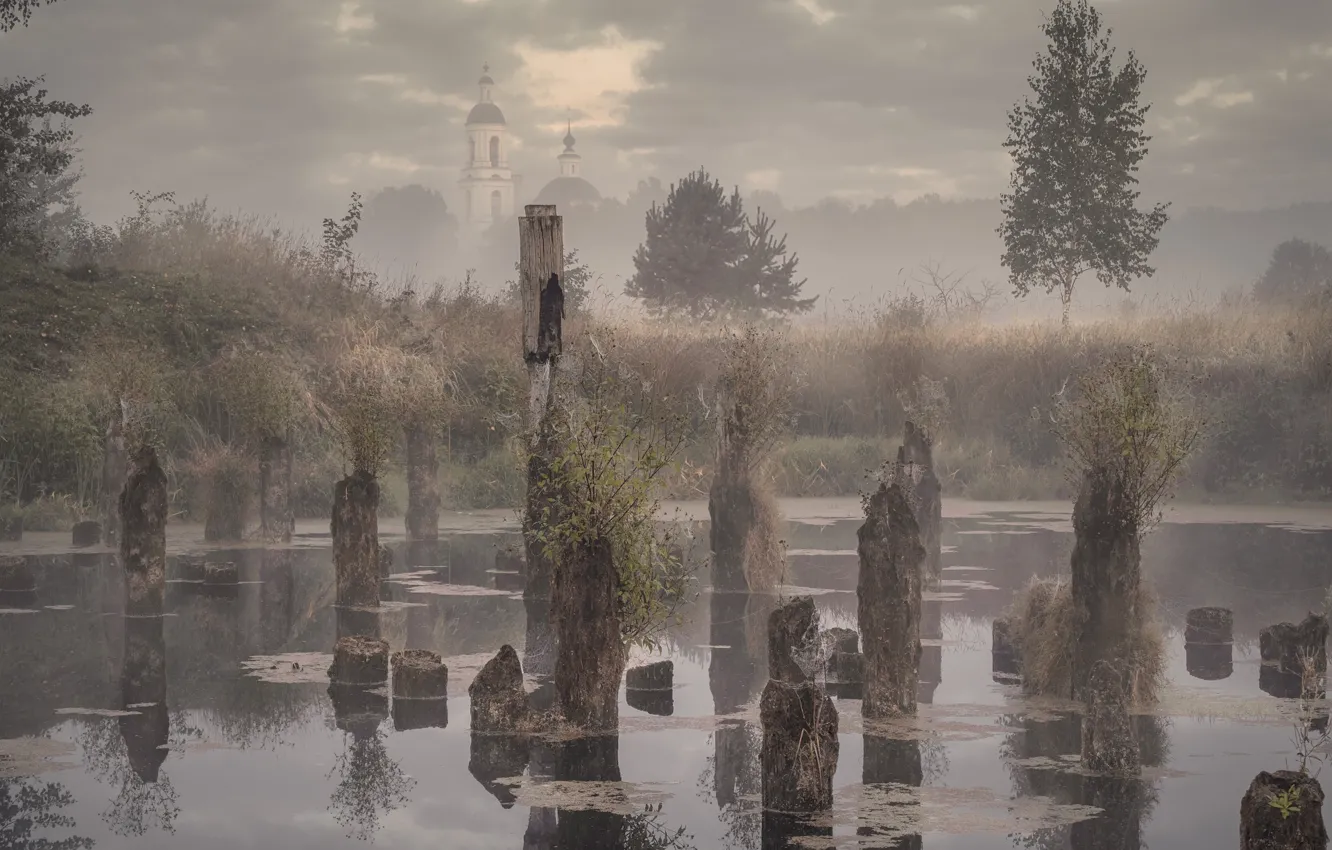 Photo wallpaper autumn, the sky, grass, clouds, trees, branches, clouds, fog