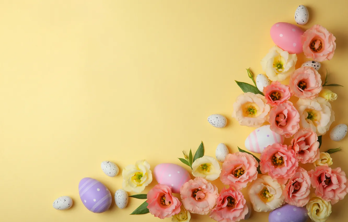Photo wallpaper flowers, eggs, spring, colorful, Easter, pink, flowers, spring