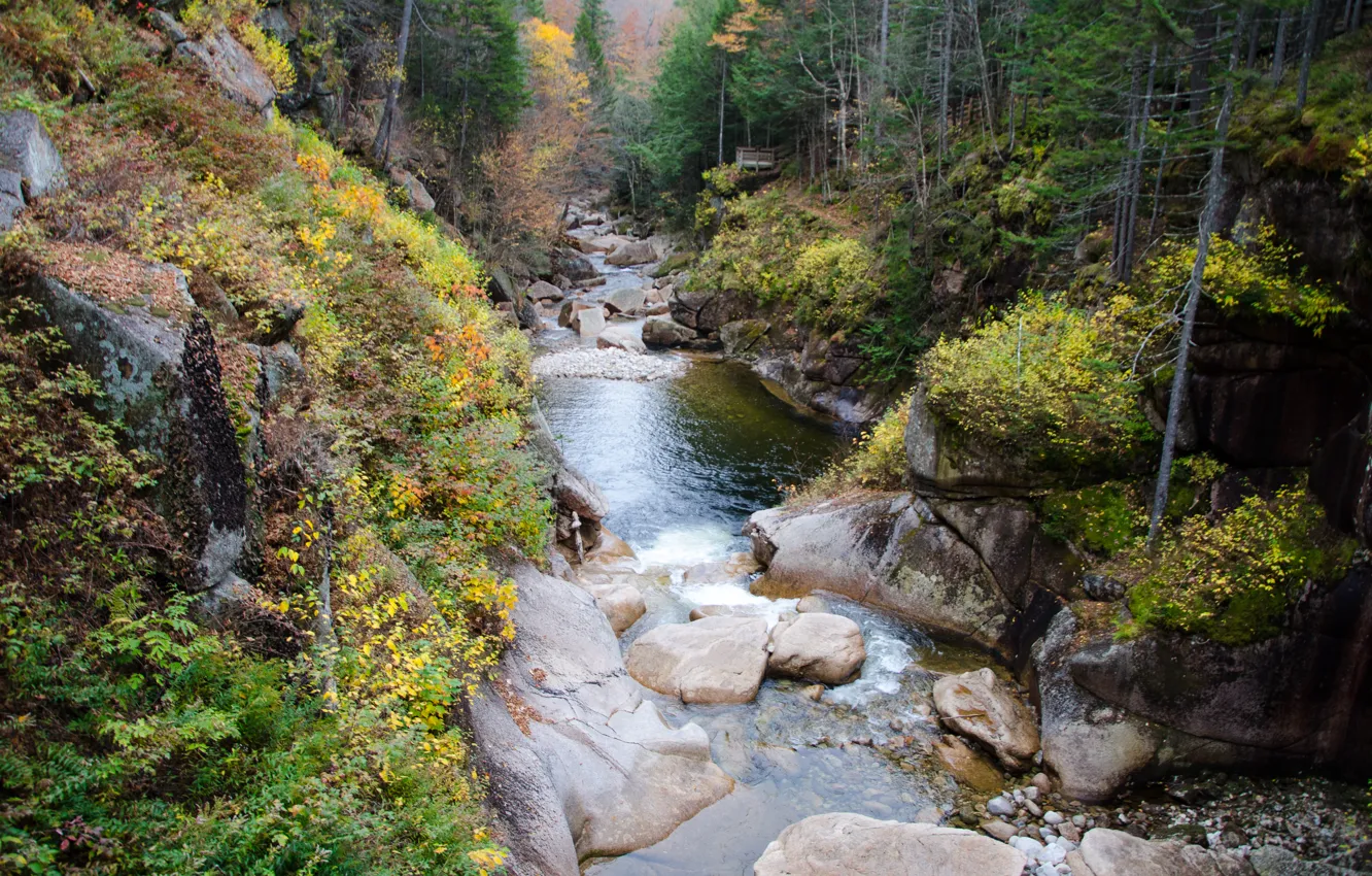Photo wallpaper autumn, stones, rocks, stream, River, river, nature, autumn