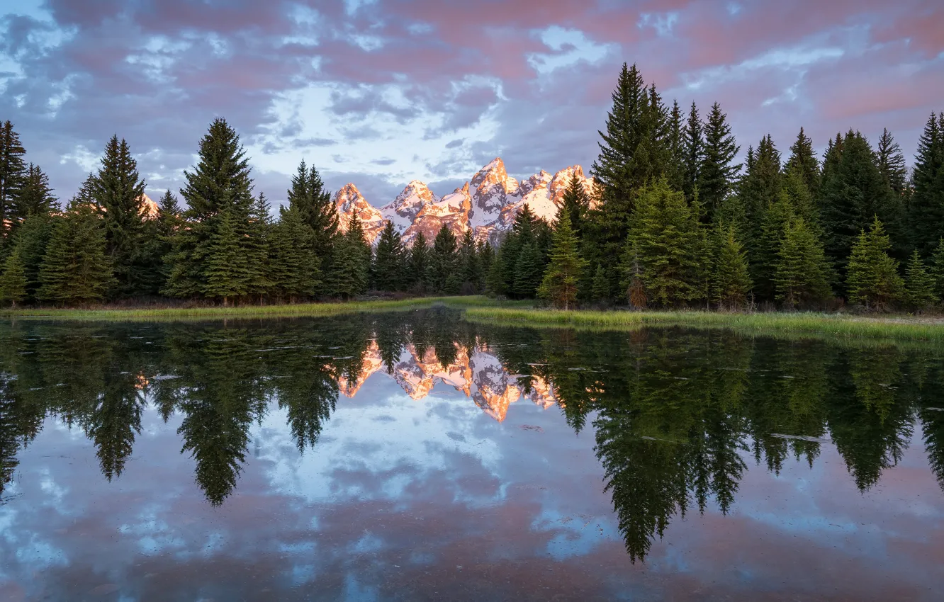 Photo wallpaper forest, summer, the sky, clouds, light, landscape, mountains, nature