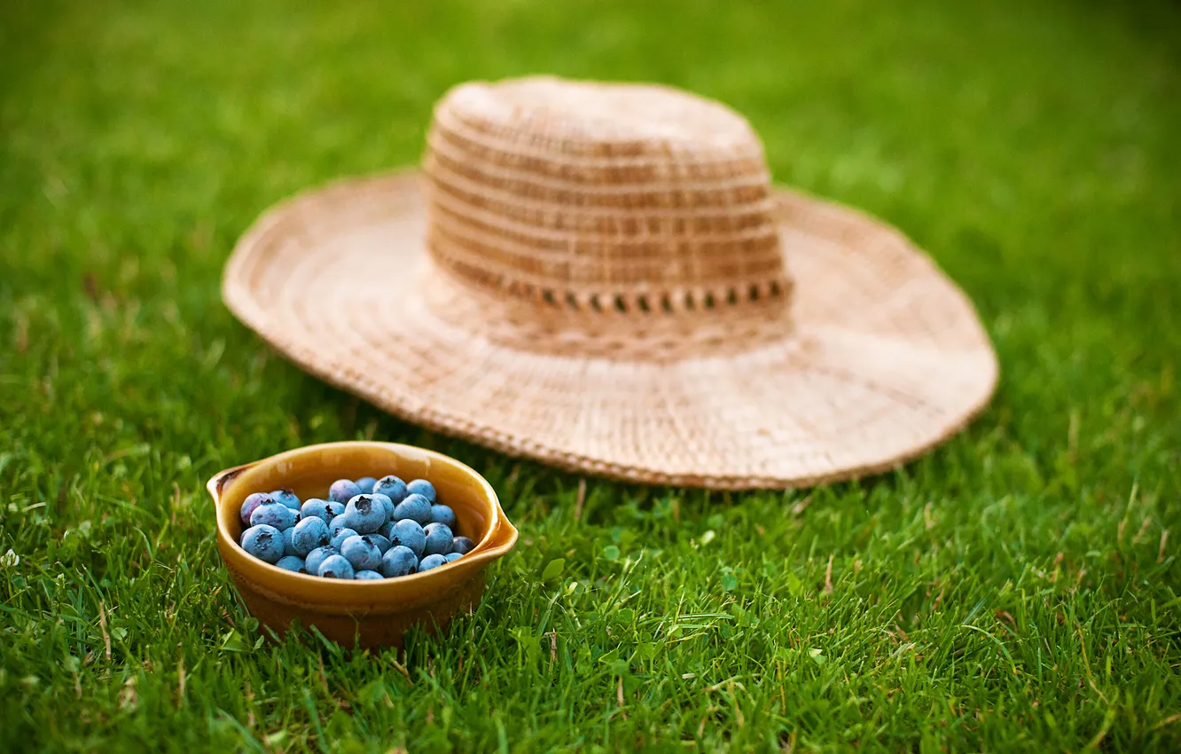 Photo wallpaper grass, hat, blueberries, plate