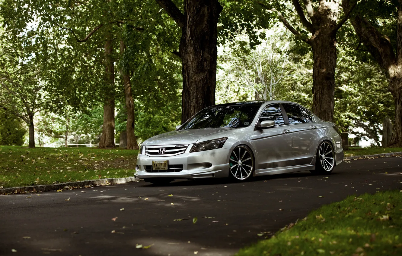 Photo wallpaper trees, Park, cars, Honda, Accord, cars, Honda, auto wallpapers