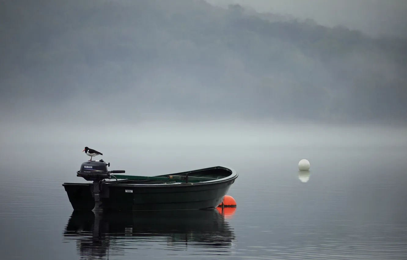 Photo wallpaper landscape, fog, bird, boat