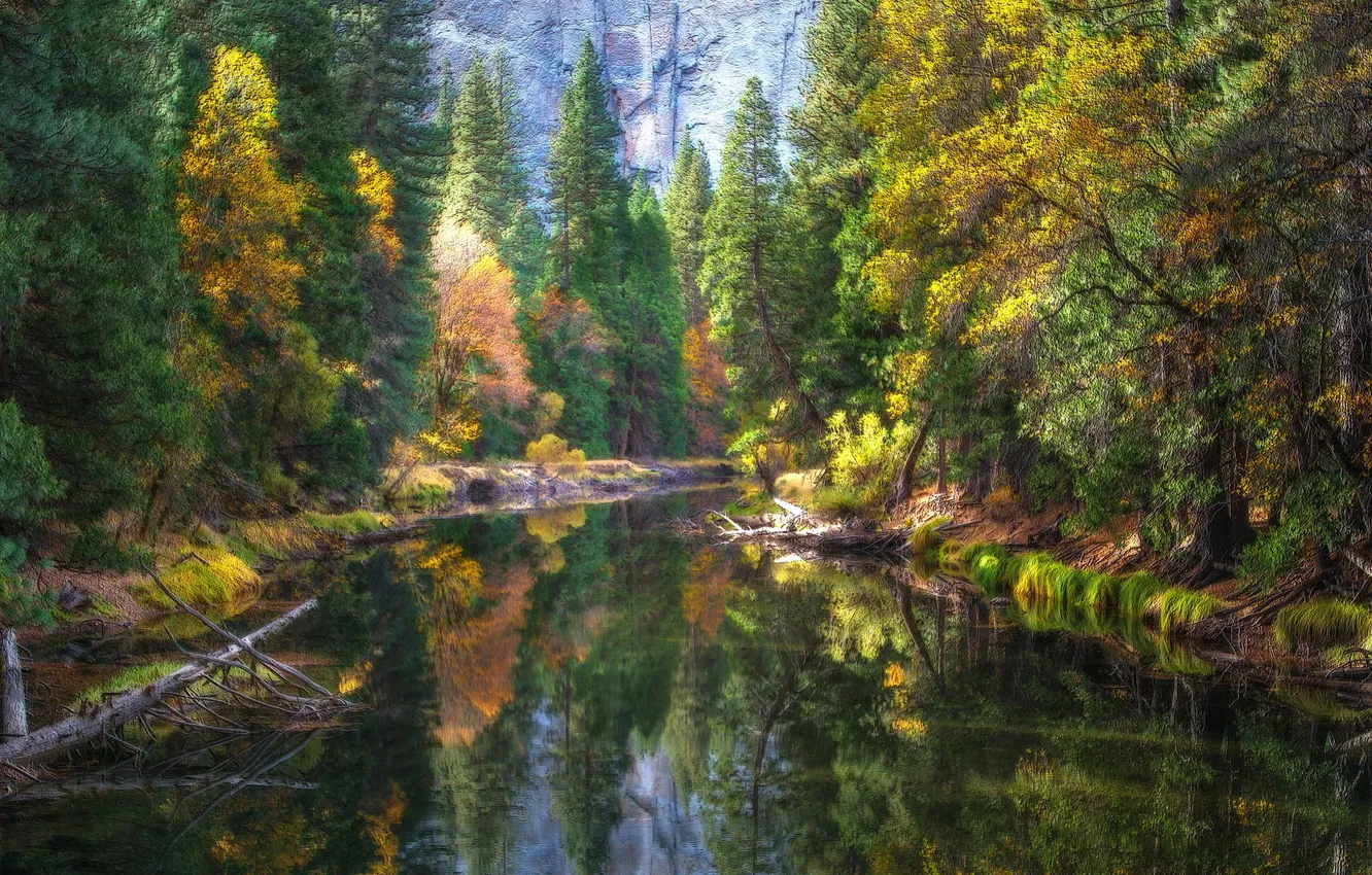 Photo wallpaper River, Yosemite National Park, Mirror, Reflection, Merced River, Fall Colors