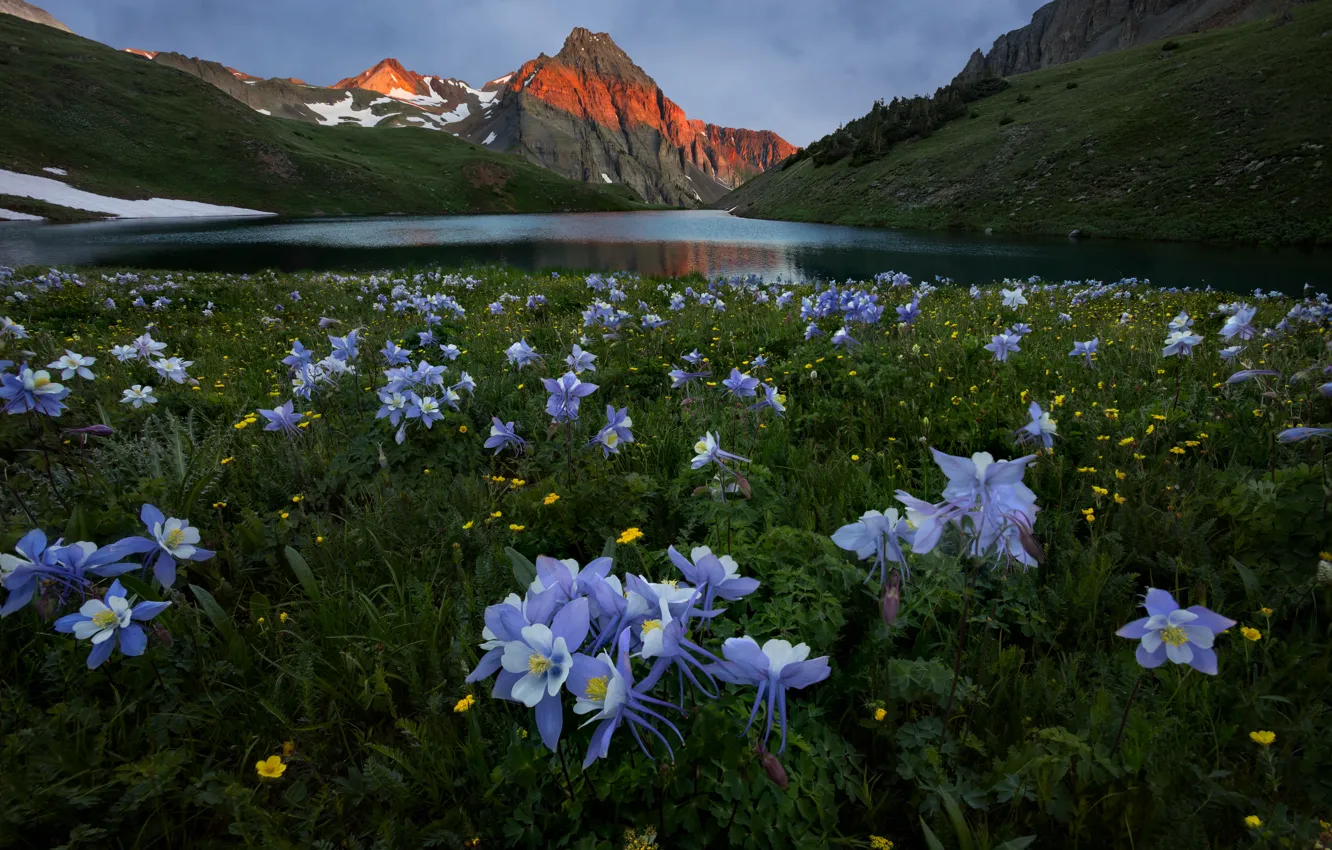 Photo wallpaper summer, flowers, mountains, meadow, pond, the catchment, Aquilegia