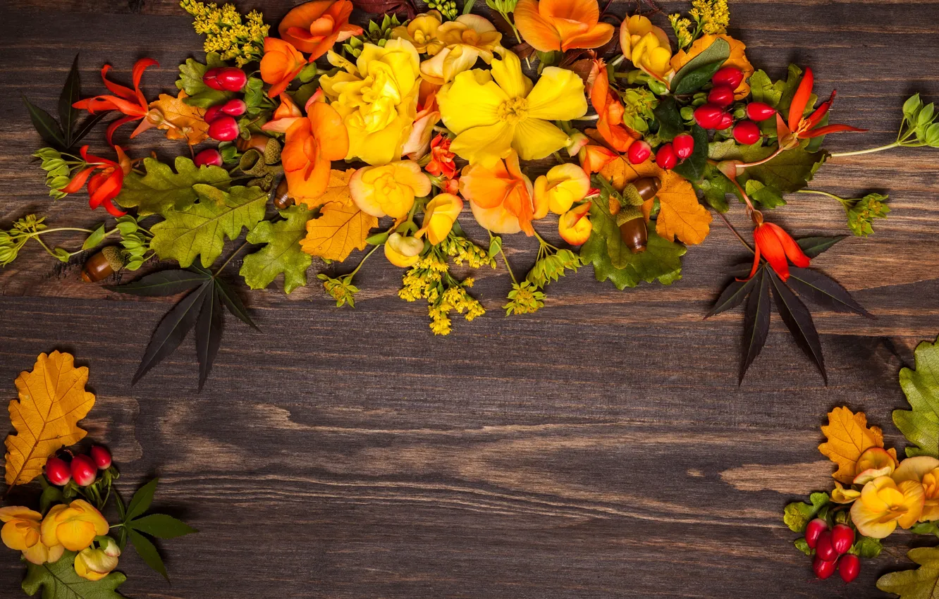 Photo wallpaper autumn, leaves, flowers, wood, flowers, autumn, leaves, composition