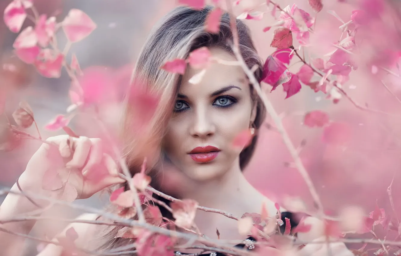 Photo wallpaper makeup, Alessandro Di Cicco, Pink Flowers