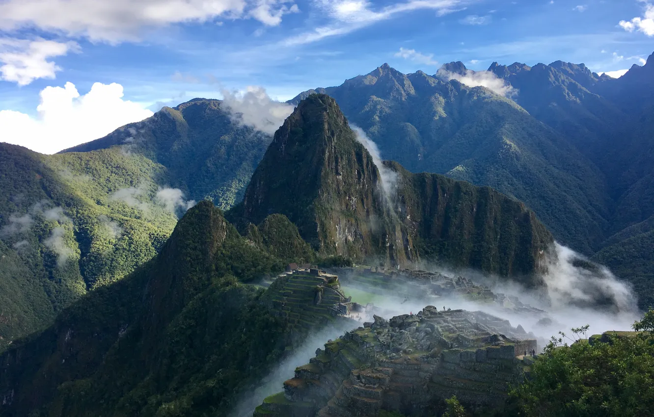 Photo wallpaper forest, the sky, clouds, trees, landscape, mountains, nature, fog