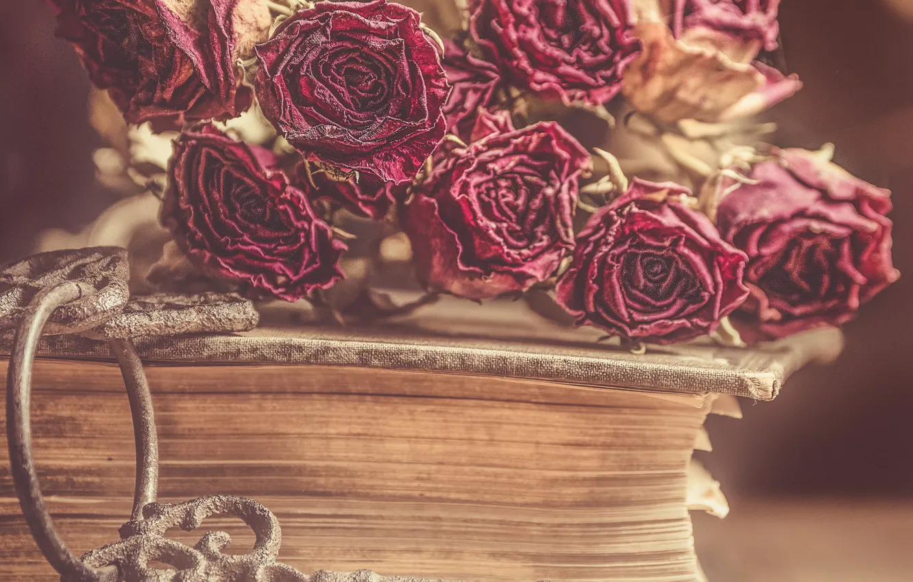 Photo wallpaper flowers, style, roses, key, book, buds, dried