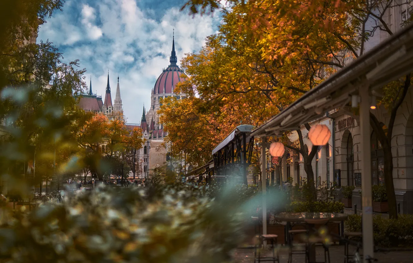 Photo wallpaper autumn, trees, the city, street, building, home, Parliament, tower