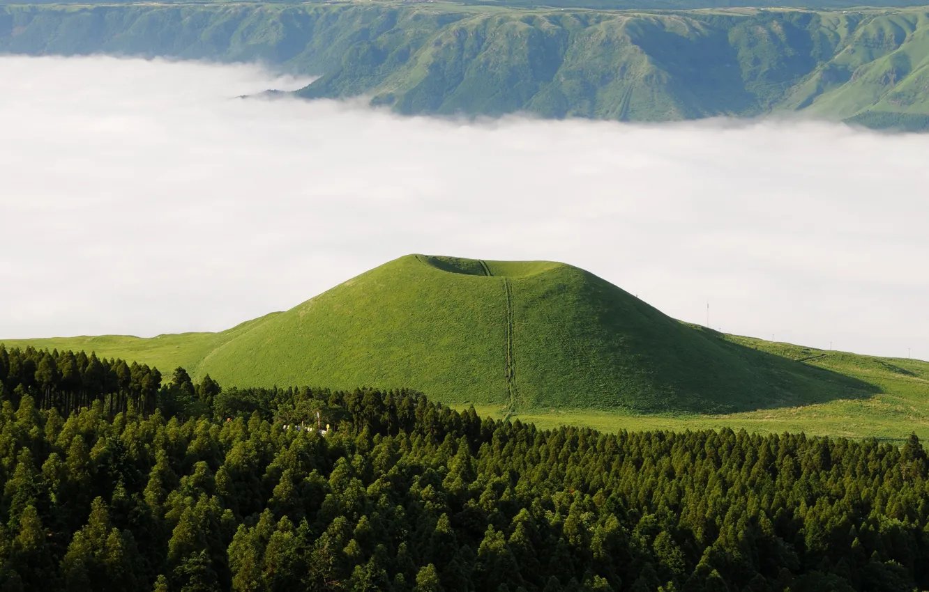 Photo wallpaper forest, mountains, fog, view, the volcano