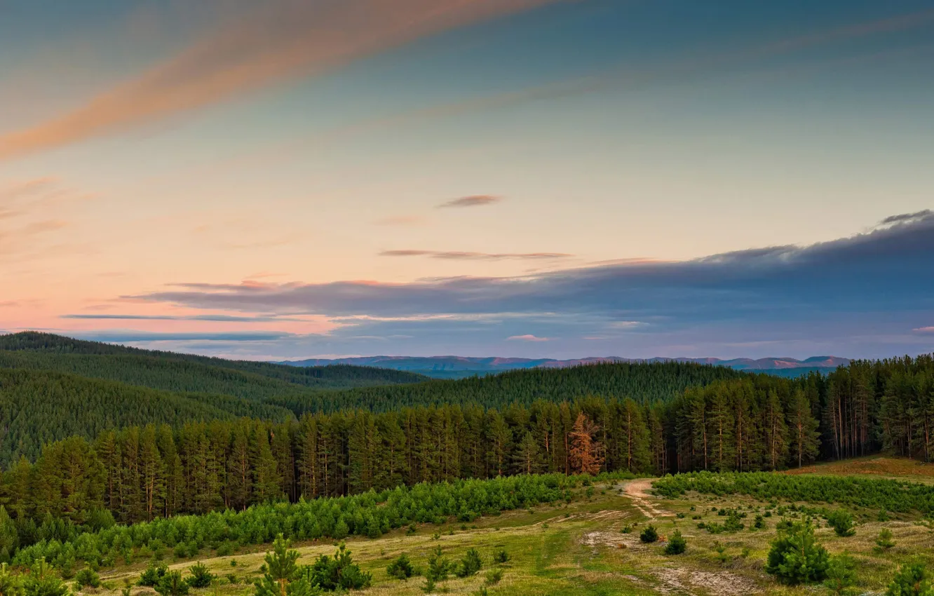 Photo wallpaper forest, the sky, clouds, landscape, mountains, nature, Wallpaper, wallpaper