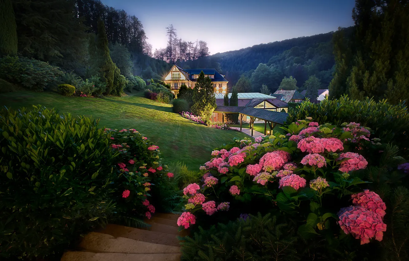 Photo wallpaper flowers, house, garden, stage, hydrangea