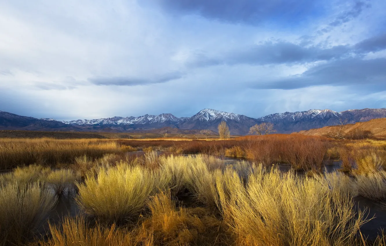Photo wallpaper autumn, the sky, grass, clouds, snow, mountains, blue, shore