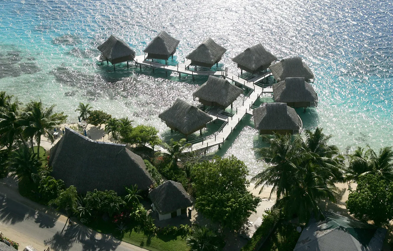 Photo wallpaper beach, palm trees, the ocean, the hotel, exotic, the area