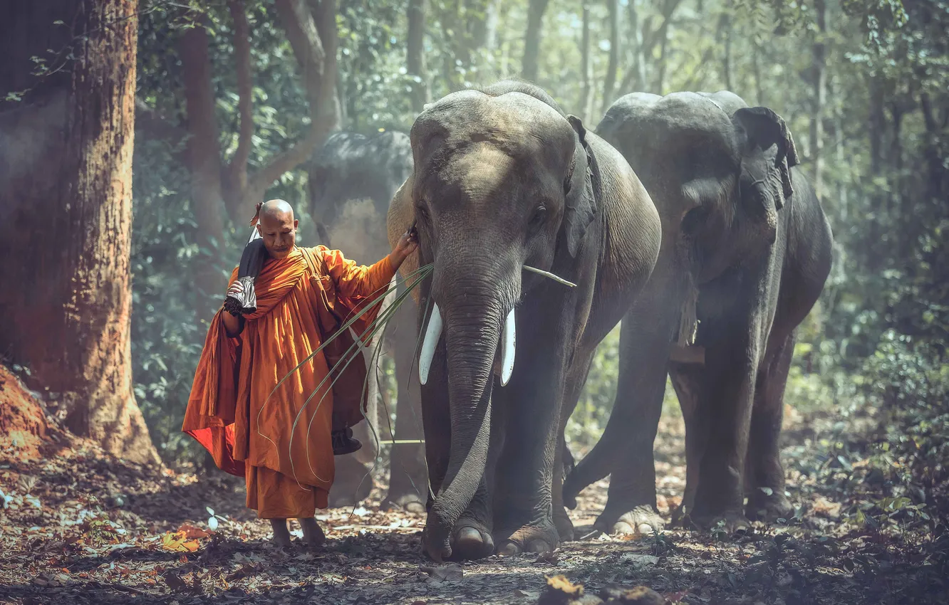 Photo wallpaper Thailand, nature, people, man