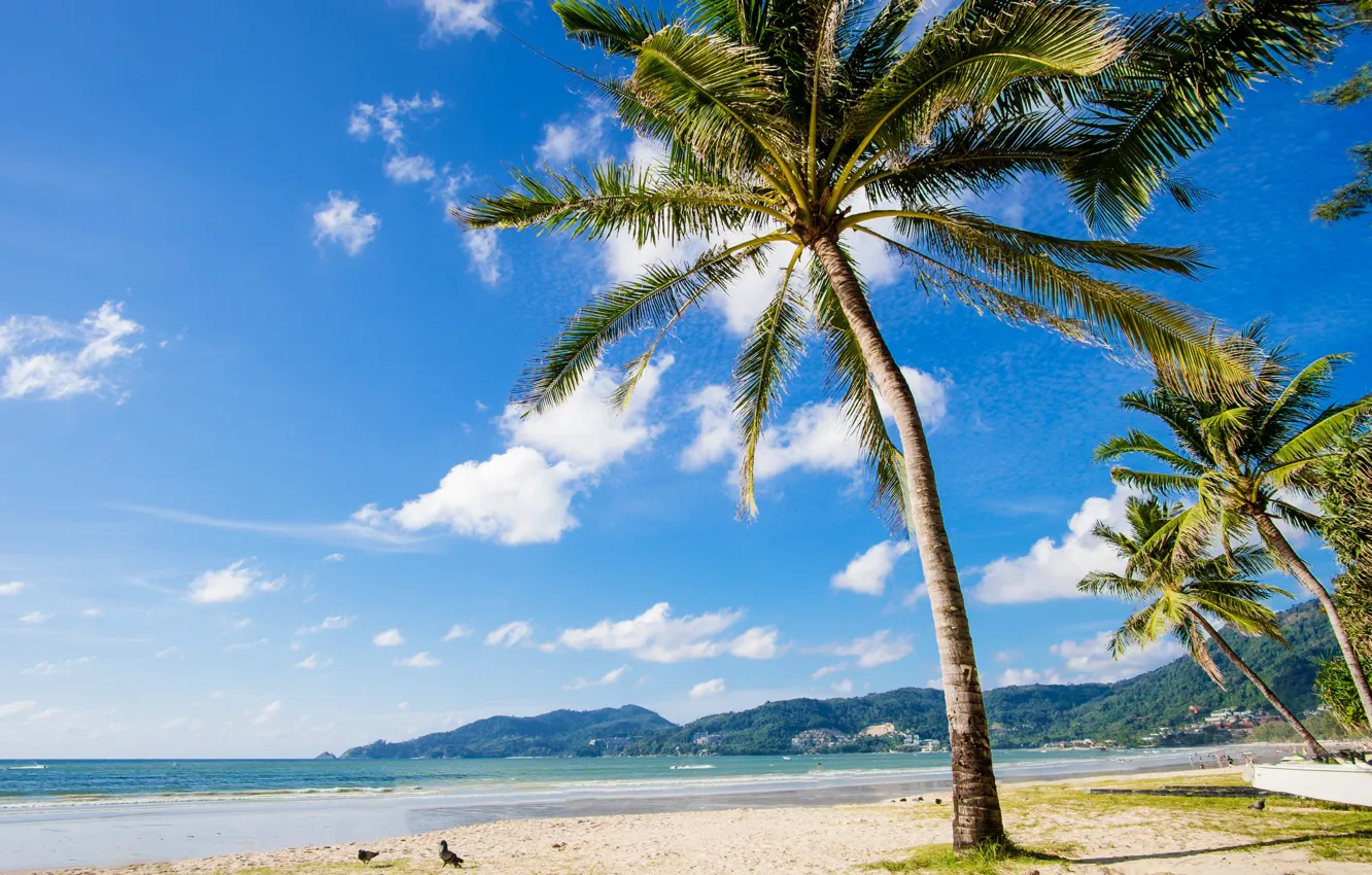 Photo wallpaper tropics, beach, sea, palm trees, summer, sand