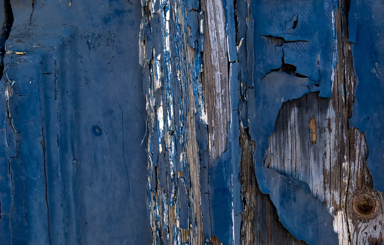 Photo wallpaper wall, color, texture