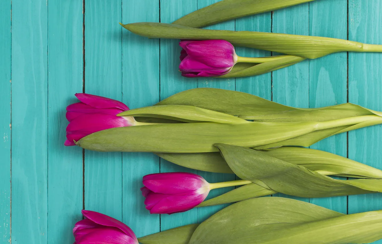 Photo wallpaper tulips, pink, wood, Ana Lukenda