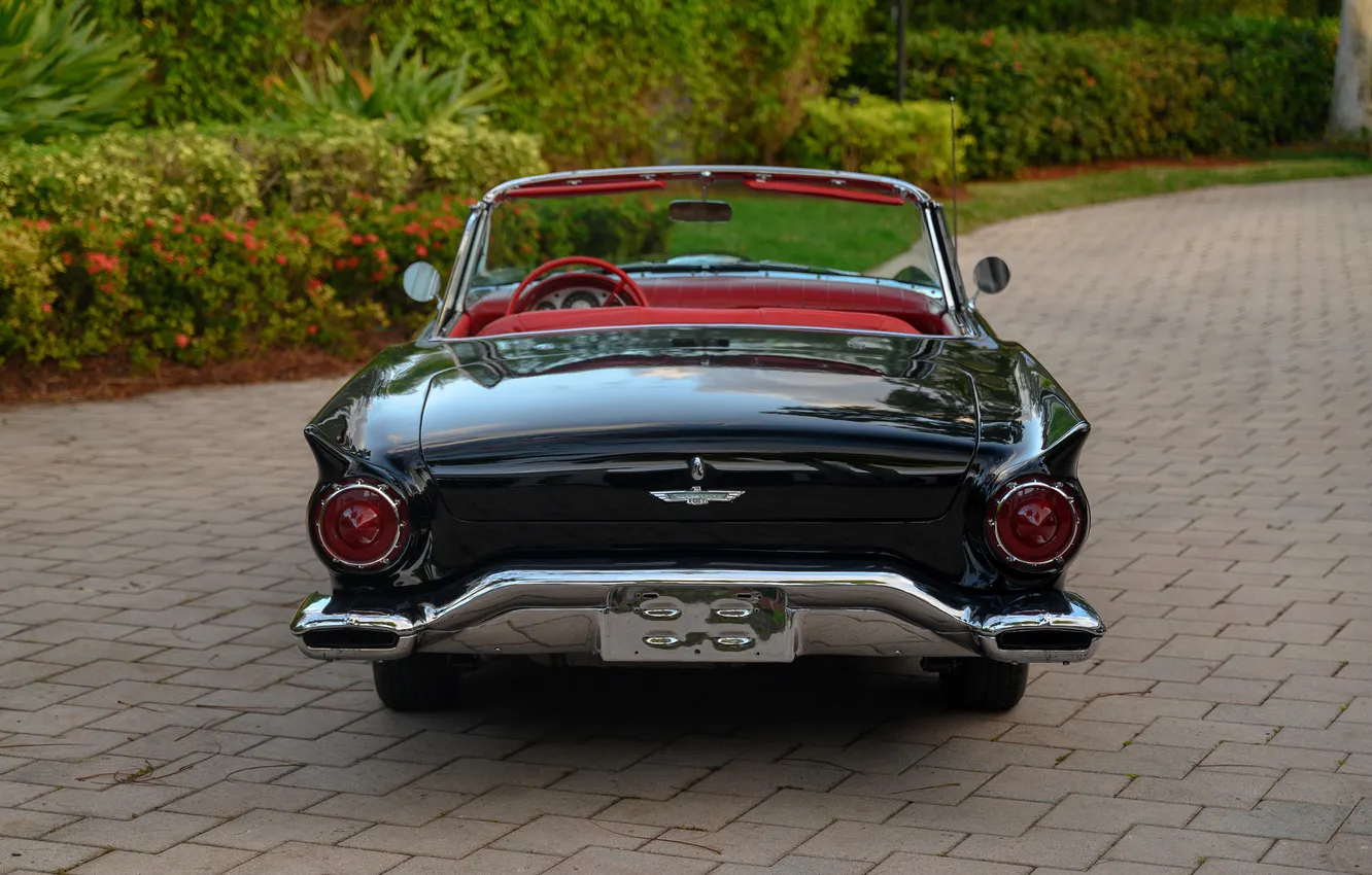 Photo wallpaper Ford, Ford, 1957, retro cars, Thunderbird, Retro Cars, Ford Thunderbird E-Code, E-Code