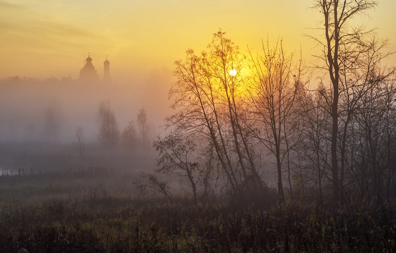 Photo wallpaper fog, sunrise, Golden autumn, The New Jerusalem, Alexander Medvedev