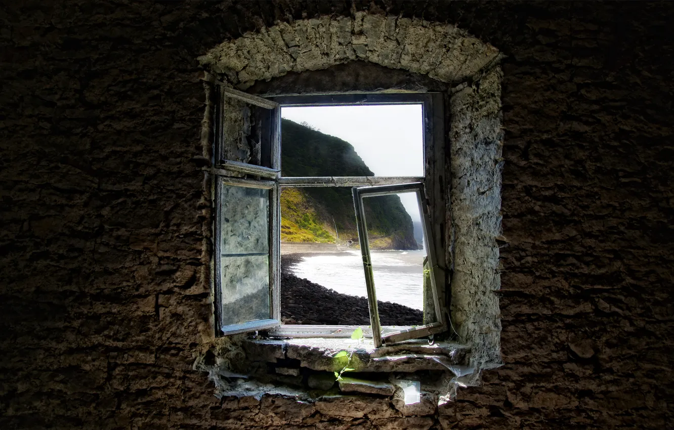 Photo wallpaper shore, slope, window, devastation, ivy