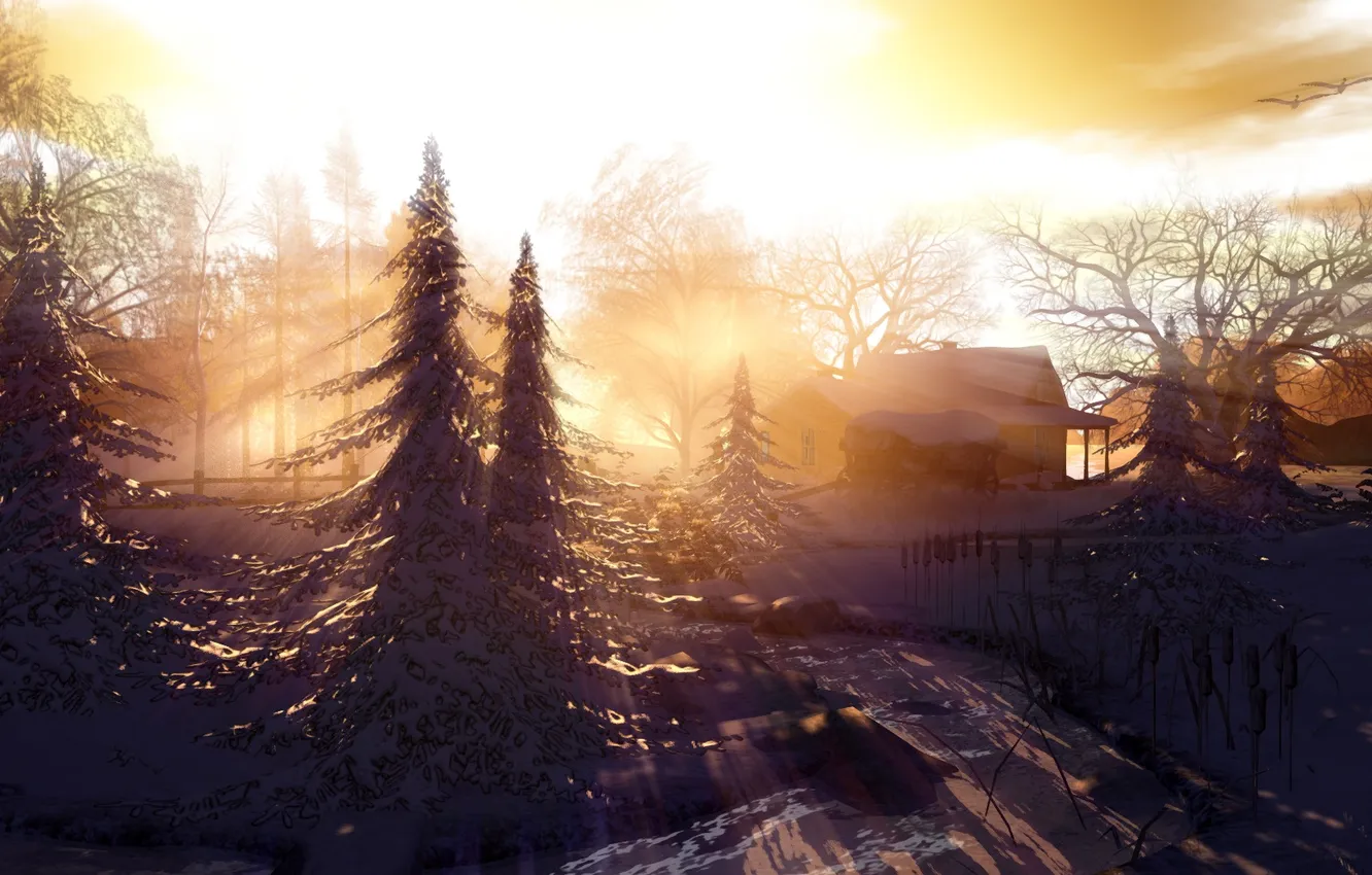 Photo wallpaper light, landscape, morning