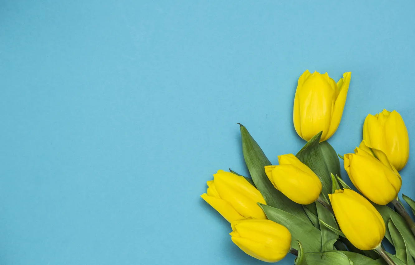 Photo wallpaper flowers, yellow, bouquet, tulips, fresh, yellow, wood, flowers