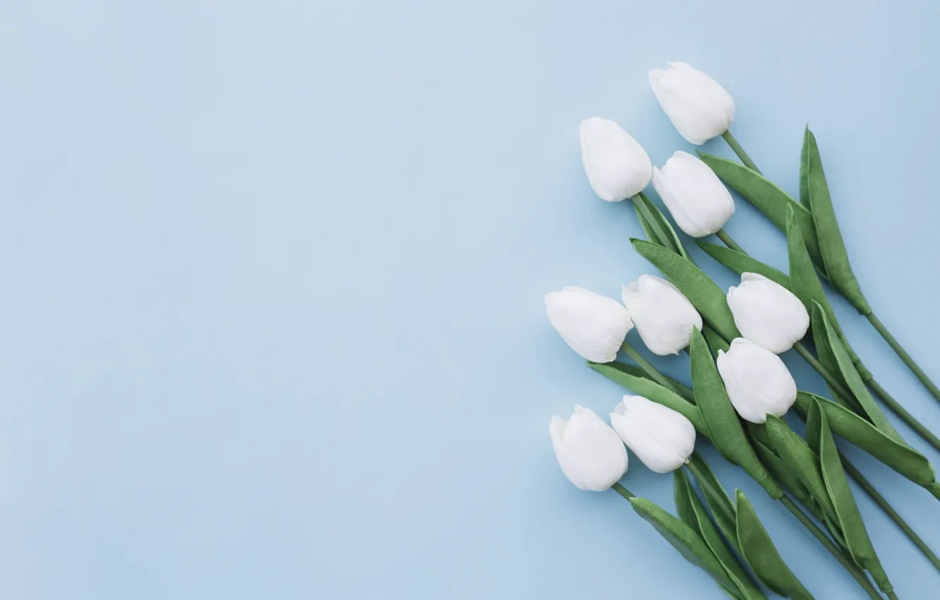 Photo wallpaper flowers, background, bouquet, tulips