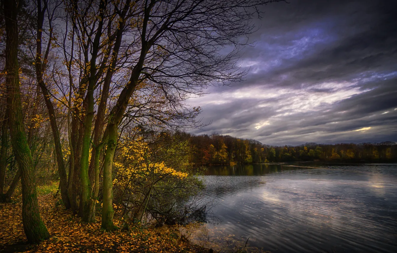 Photo wallpaper autumn, leaves, trees, clouds, lake