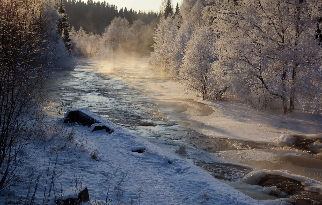 Photo wallpaper winter, forest, snow, landscape, nature, river, beauty, frost