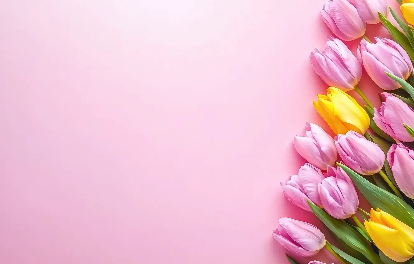 Photo wallpaper flowers, yellow, holiday, bouquet, spring, tulips, pink, buds