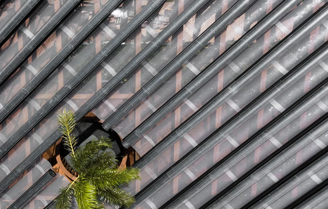 Photo wallpaper roof, palm trees, architecture, hole, West Kowloon Pavilion - Hong Kong