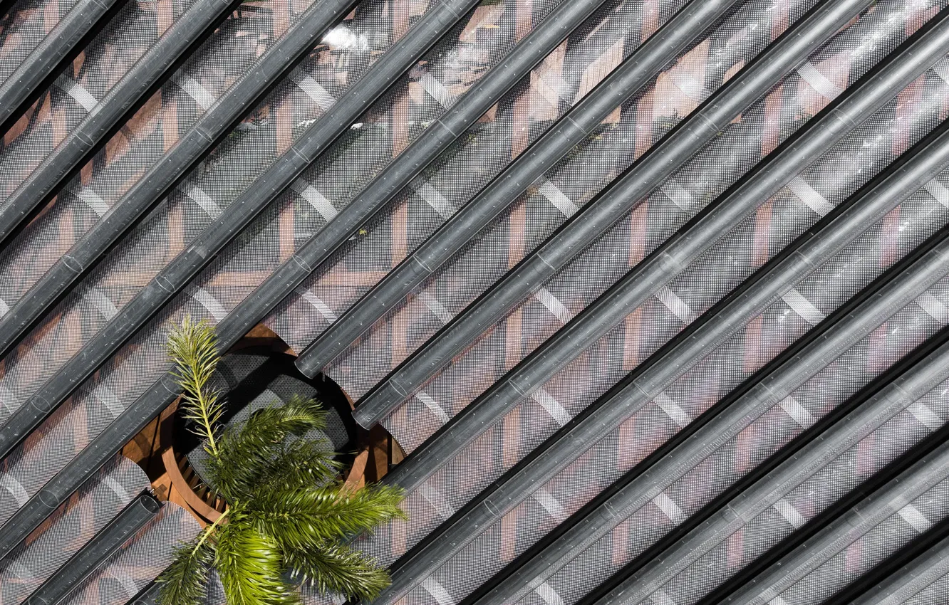 Photo wallpaper roof, Palma, architecture, hole, West Kowloon Pavilion - Hong Kong