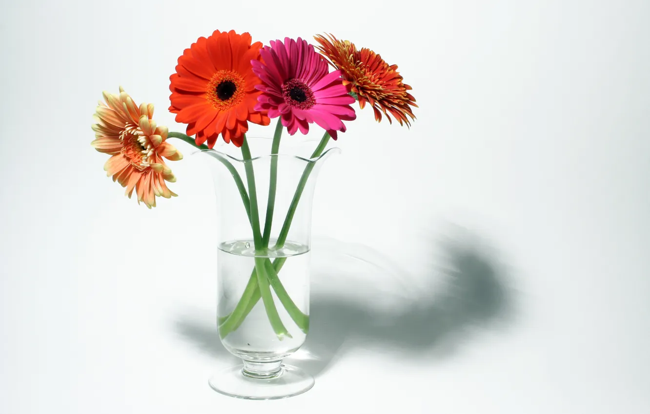 Photo wallpaper bouquet, vase, grey background, gerbera