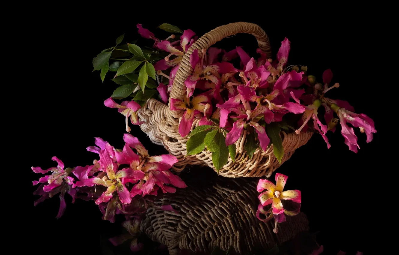 Photo wallpaper flowers, basket, bouquet, pink, flowering, gently